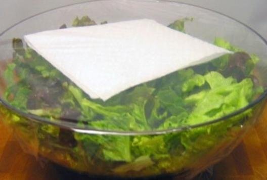 Egy igazi háziasszony nem csak finoman főz, de számos konyhai trükköt is ismer, mint például hogyan lehet kristálytiszta jégkockát készíteni, pontosan kettévágni a tortalapot vagy egyszerűen és gyorsan fokhagymát pucolni. Az alábbi ötletek...