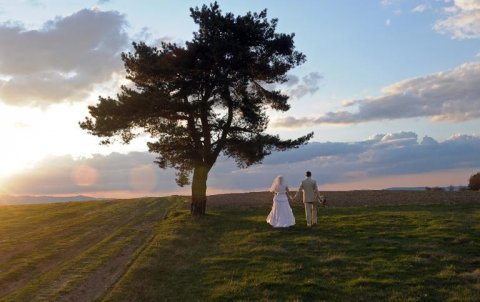 Marriages are more likely to end in divorce if the wife takes seriously ill, a US study has found, in contrast, when husbands fall gravely ill, the likelihood of divorce is unchanged