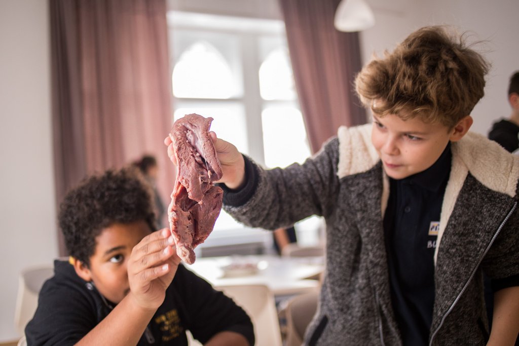 2017.11.11. Élménybiológia